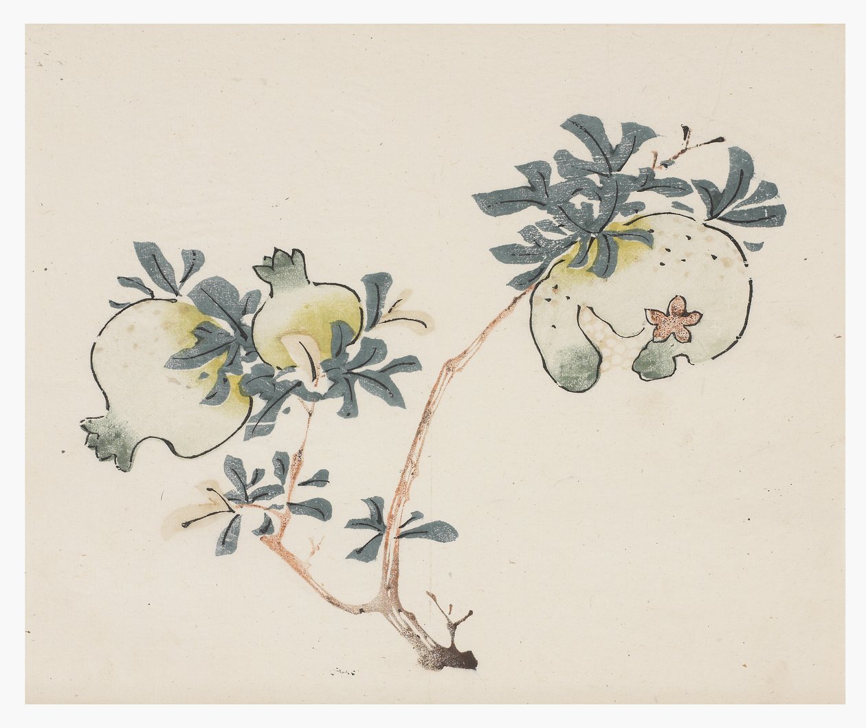 Ten Bamboo Series, 1700-tallet av Chinese School