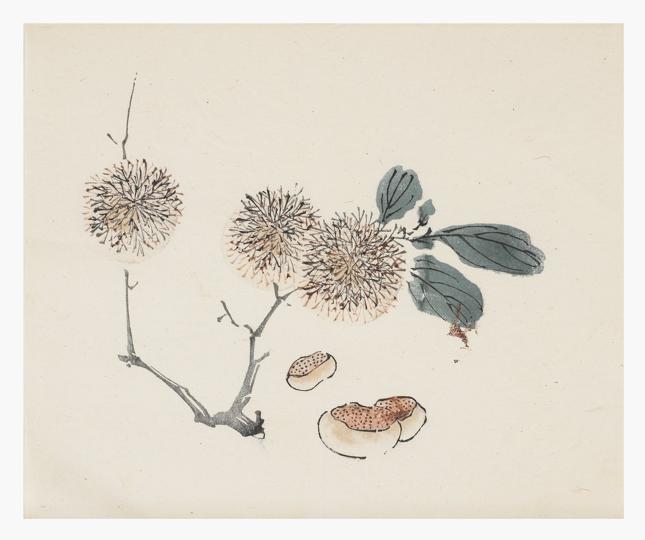 Ten Bamboo Series, 1700-tallet av Chinese School