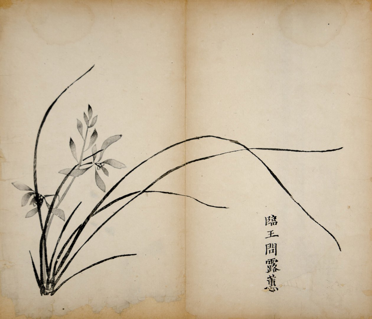 Ti Bamboo Studio Prints, 1643 (treblokk) av Chinese School