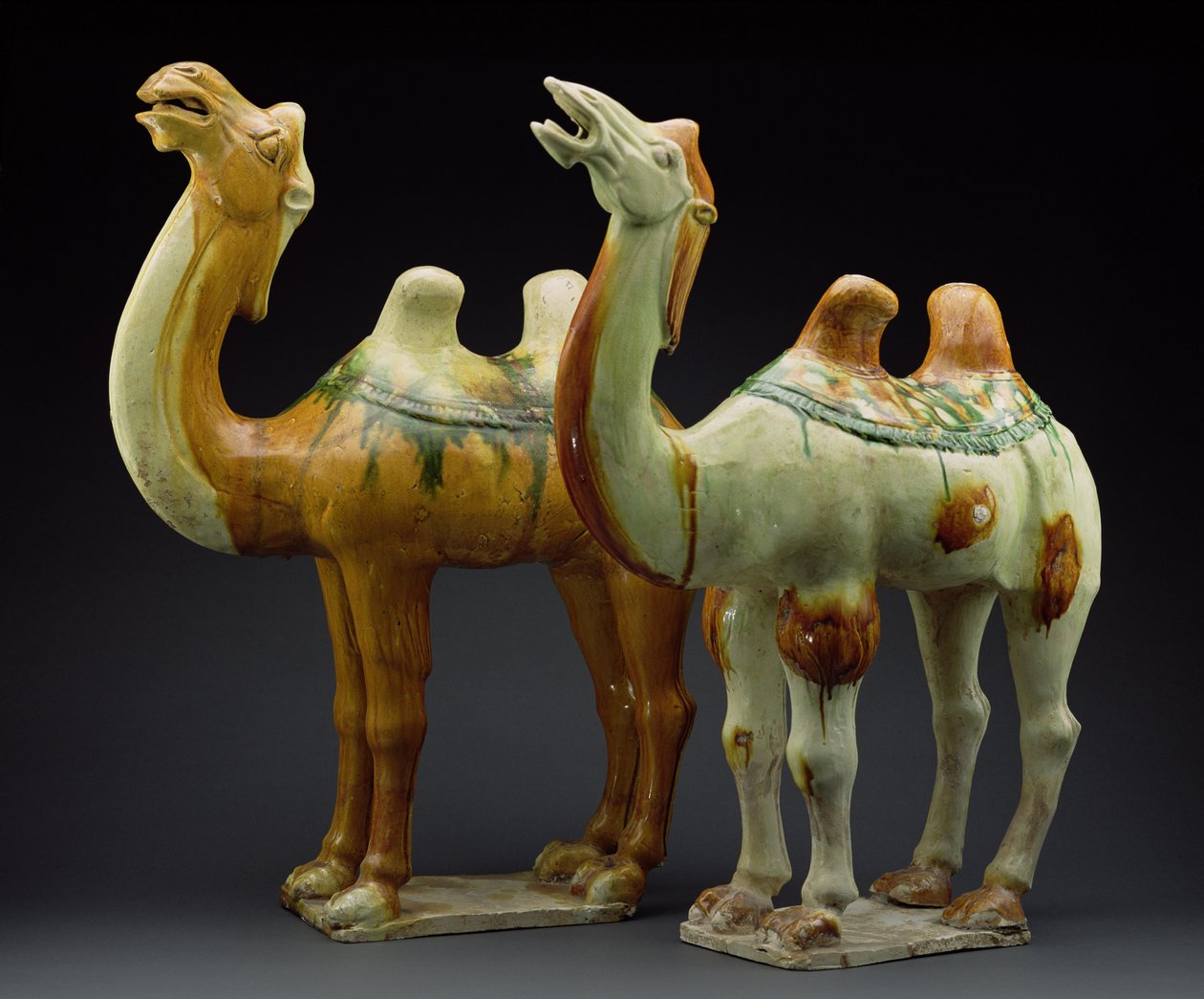 To kameler, Tang-dynastiet (618-907) (glasert lertøy) av Chinese School