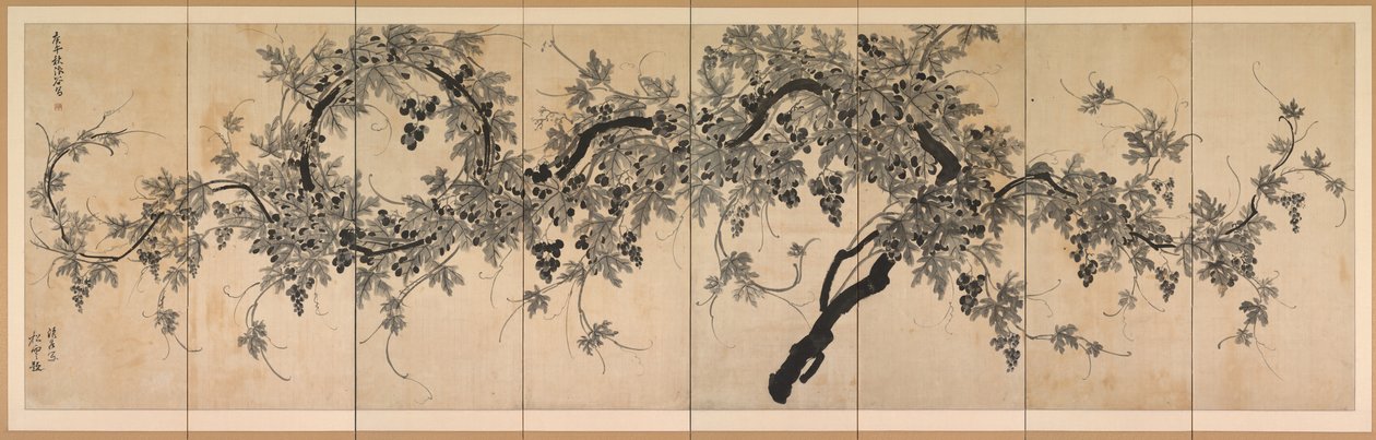 Grapevine av Choe Seok hwan