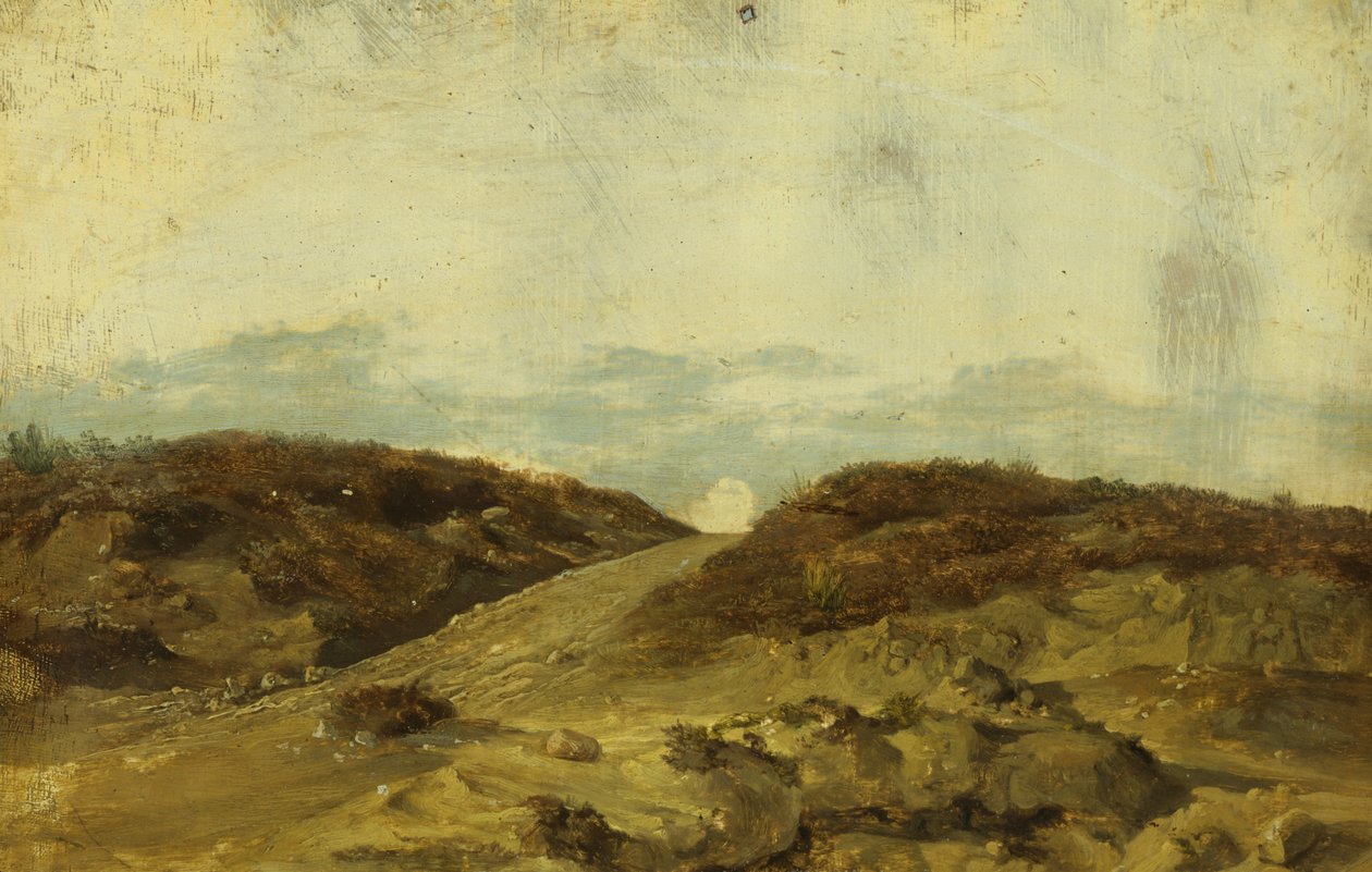 Heath Track av Christian Ernst Bernhard Morgenstern