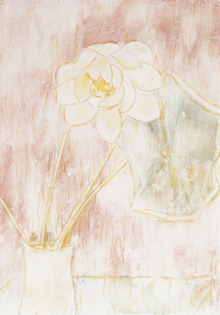 lotusblomst; Lotus blomst av Christian Rohlfs
