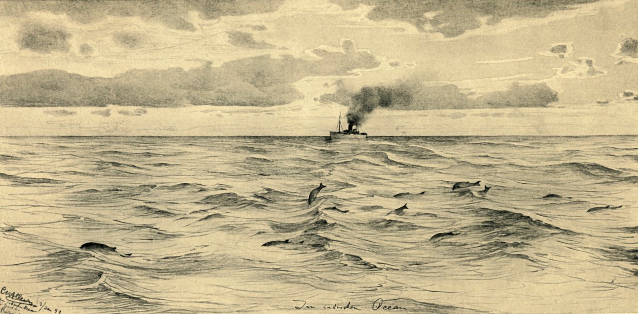 Dampskip på Det indiske hav, 1898. av Christian Wilhelm Allers