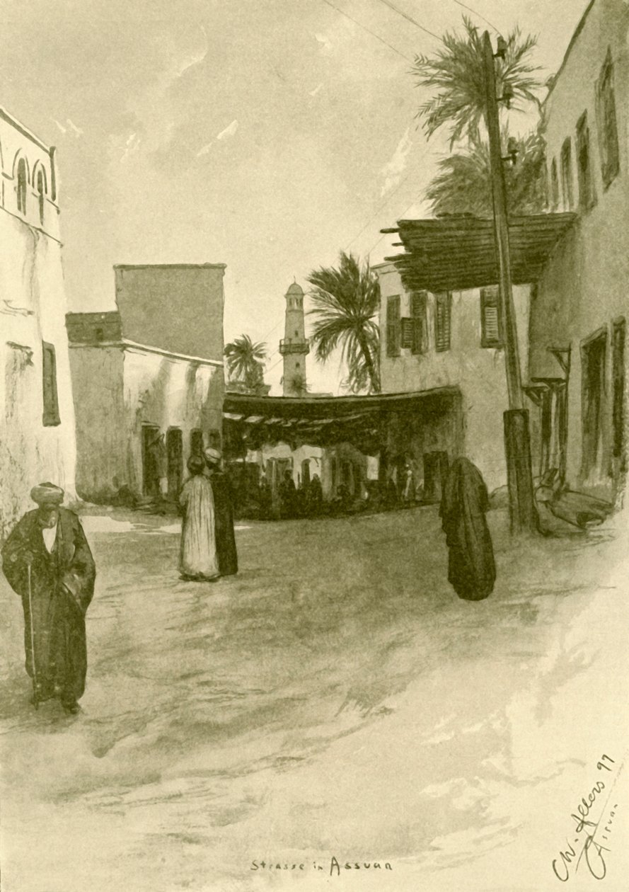 Gate i Aswan, Egypt, 1898. av Christian Wilhelm Allers