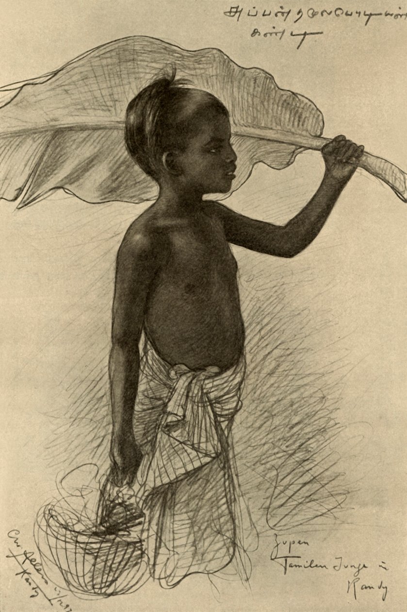 Tamilsk gutt, Kandy, Ceylon, 1898. av Christian Wilhelm Allers