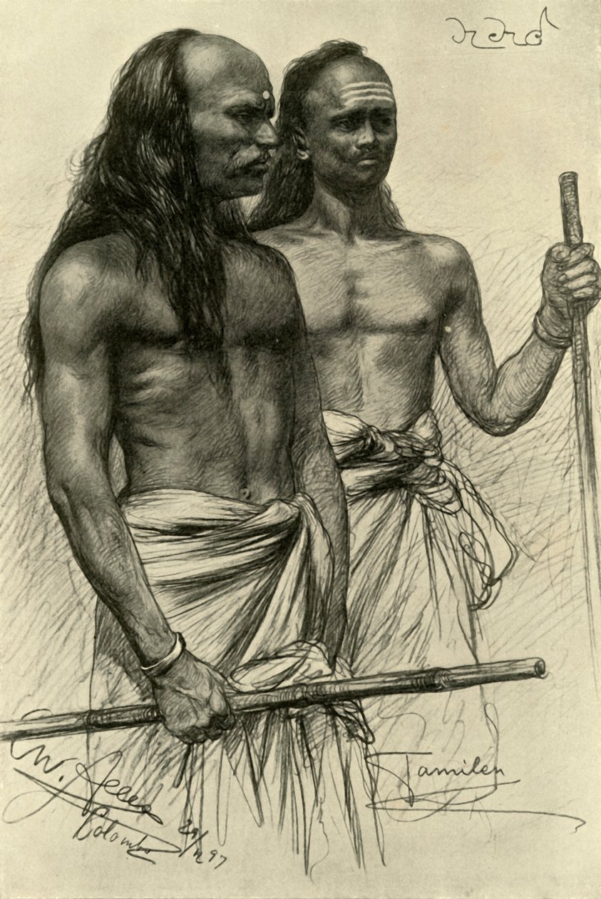 Tamilske menn, Colombo, Ceylon, 1898. av Christian Wilhelm Allers