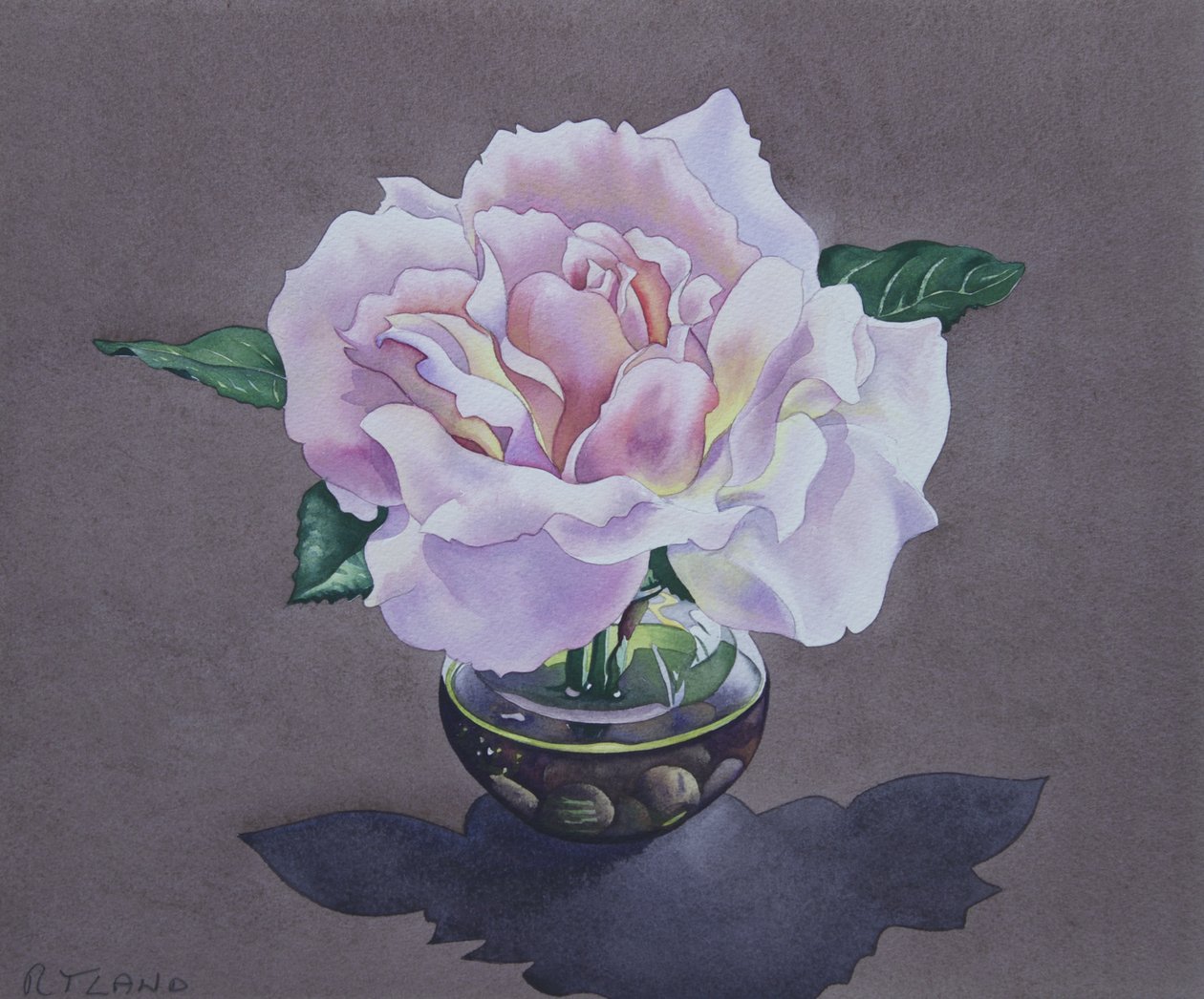 Rose Portrett av Christopher Ryland