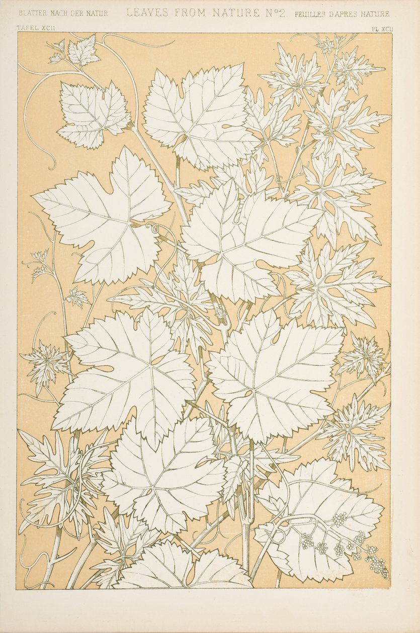 Blader fra naturen, 1868 (chromolitho) av Christopher Dresser
