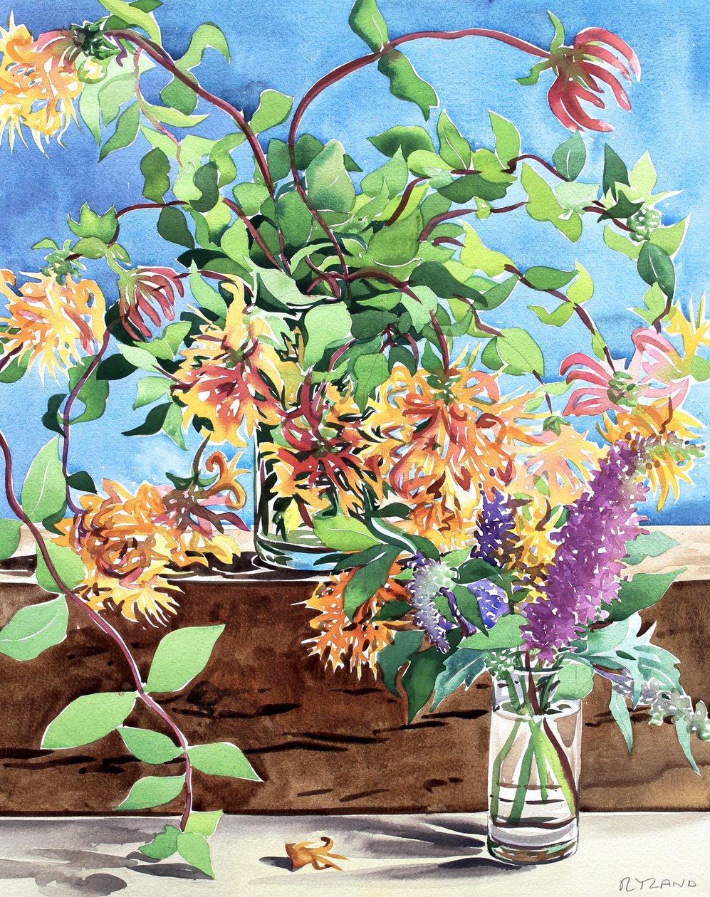Kaprifolium av Christopher Ryland