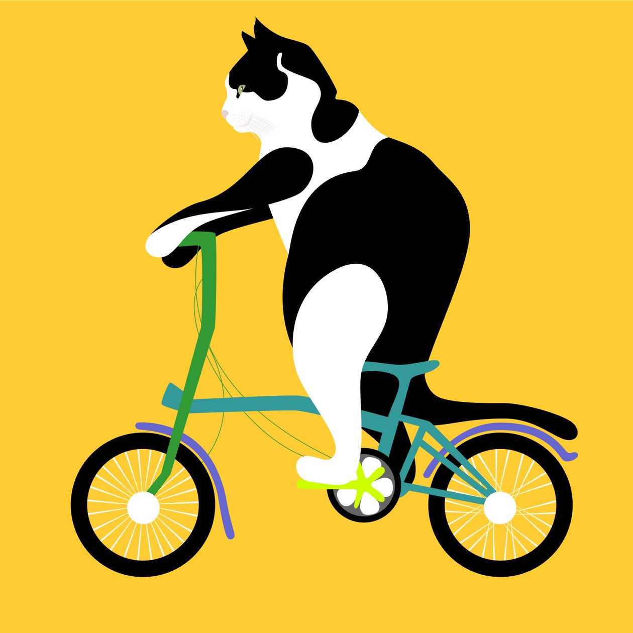 Katt på en Brompton-sykkel av Claire Huntley