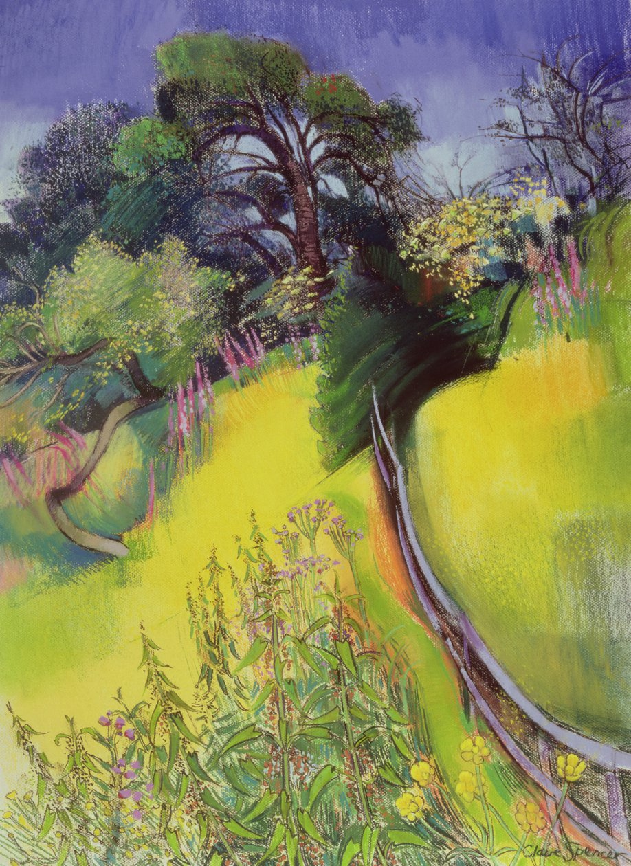 Midtsommer av Claire Spencer