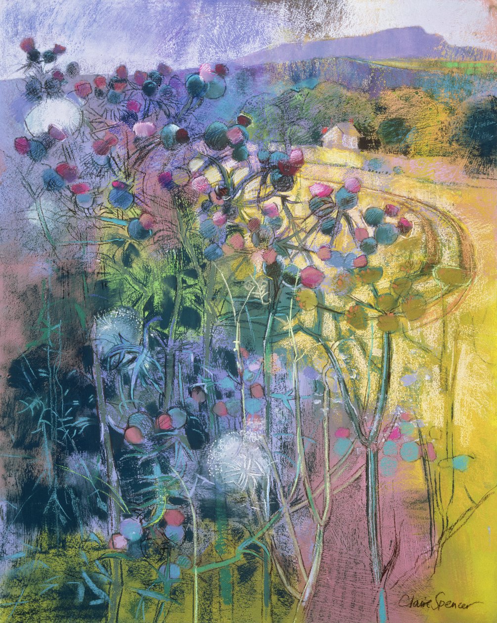 The Wild Beauty of Clee av Claire Spencer