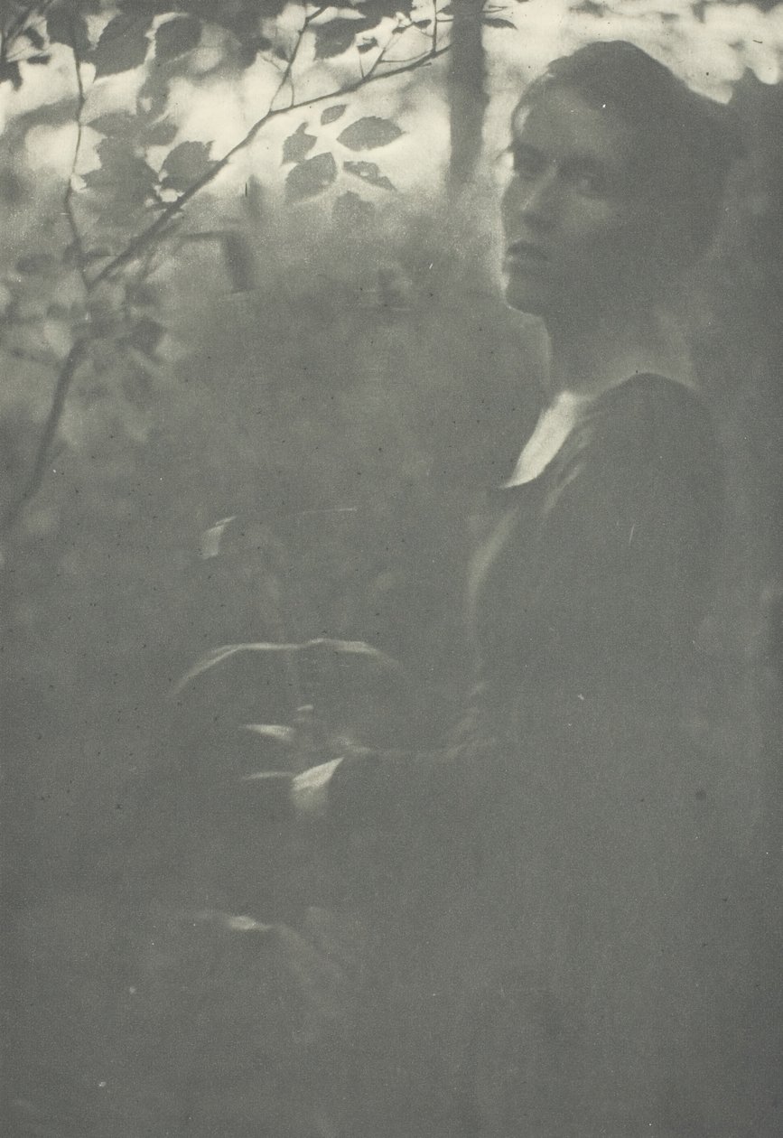 Edge of Woods, ca. 1899. av Clarence H White