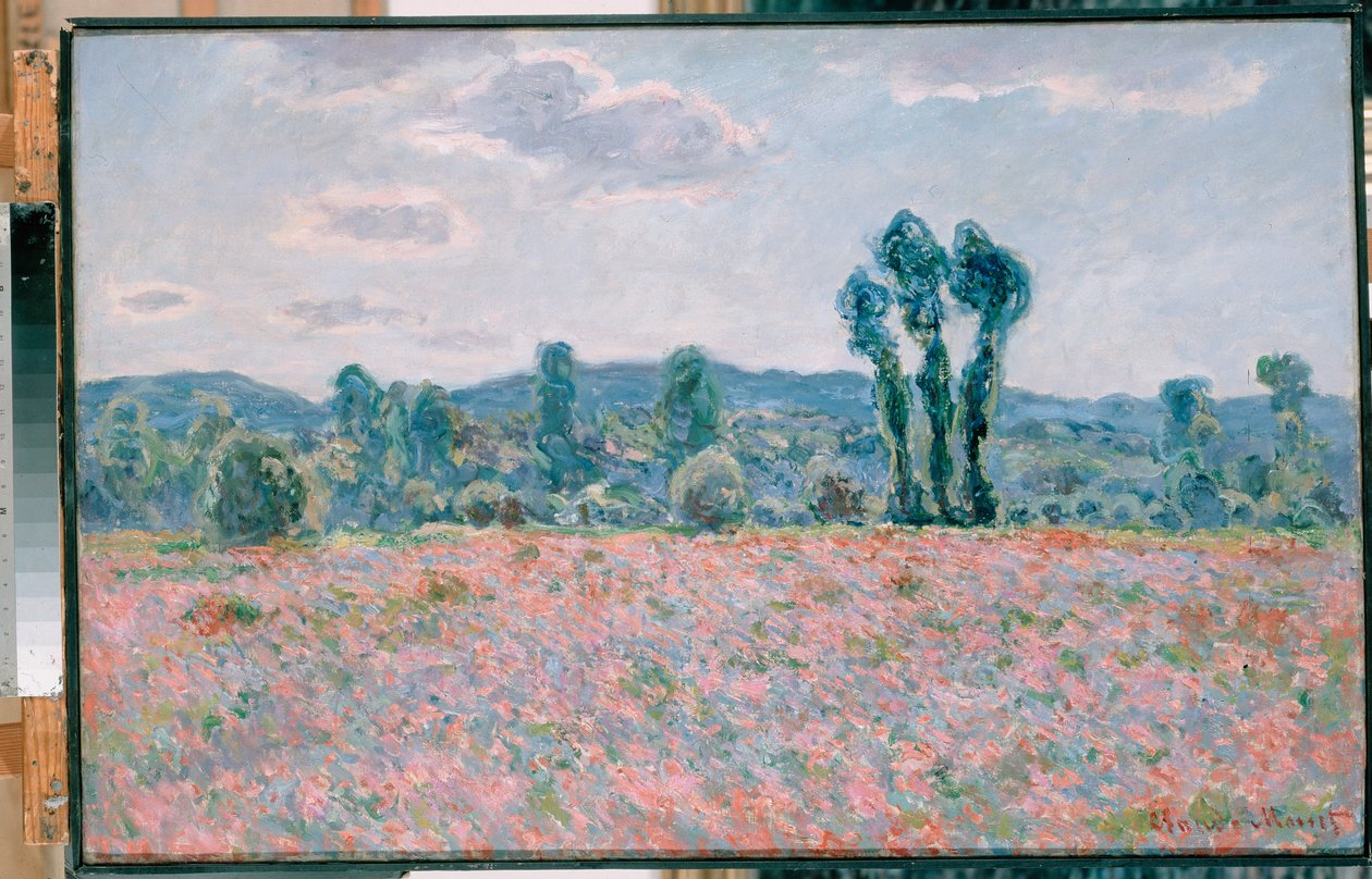 Poppy Field Polski: Pole makow av Claude Monet