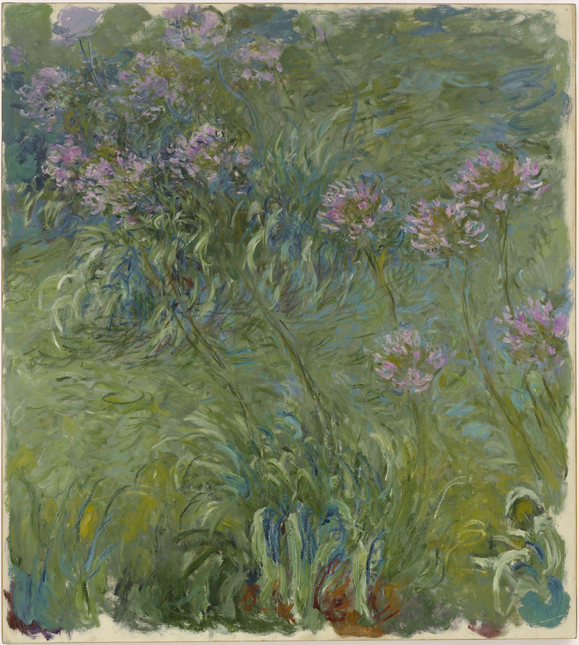 Agapanthus av Claude Monet