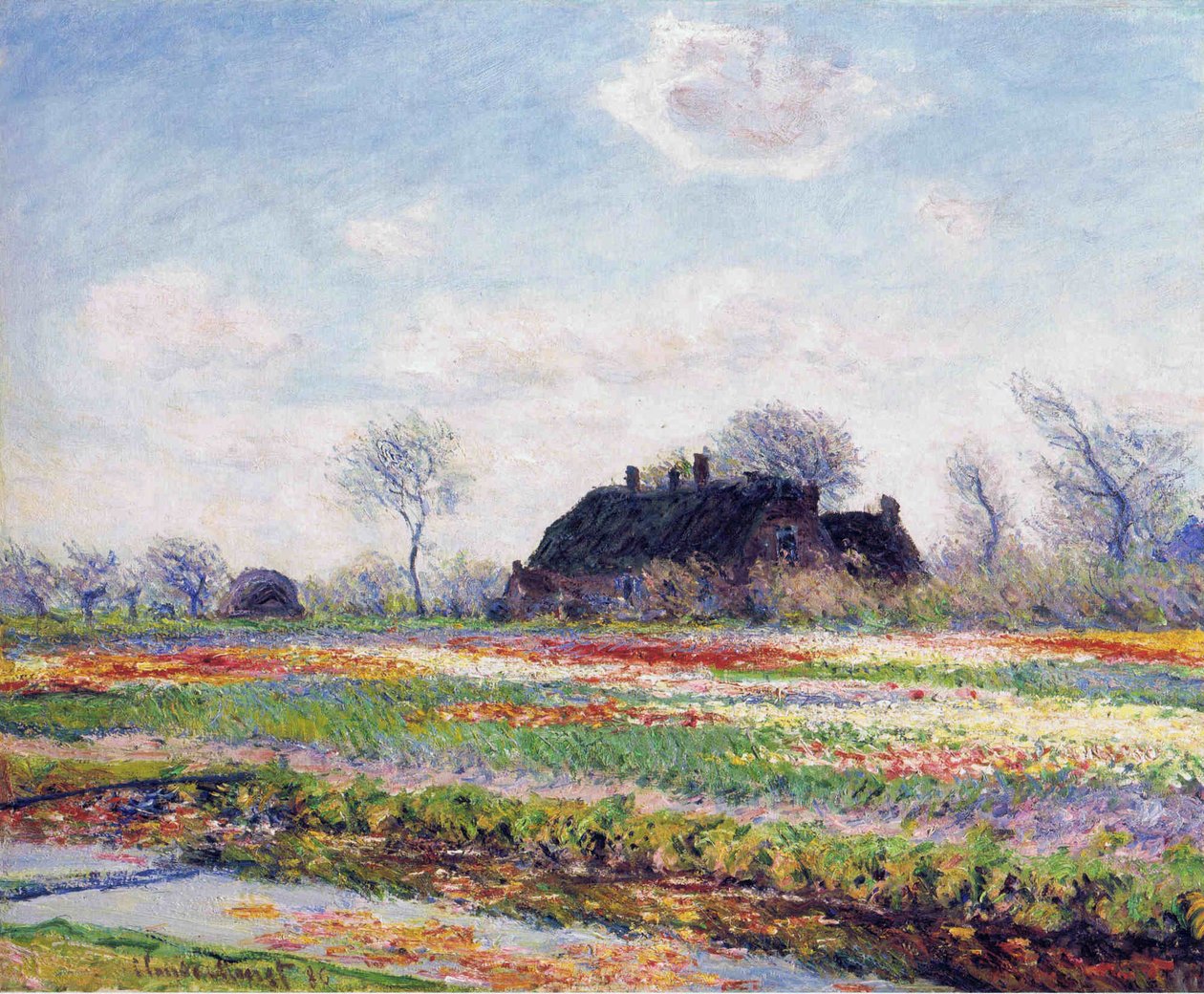 Tulipanåker i Sassenheim av Claude Monet