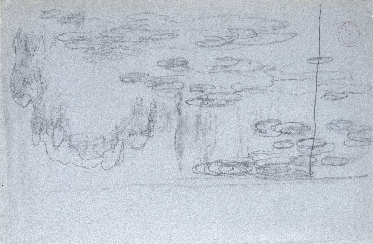 Vannliljer, ca. 1918 (svart fargestift på blått fargestift papir) av Claude Monet