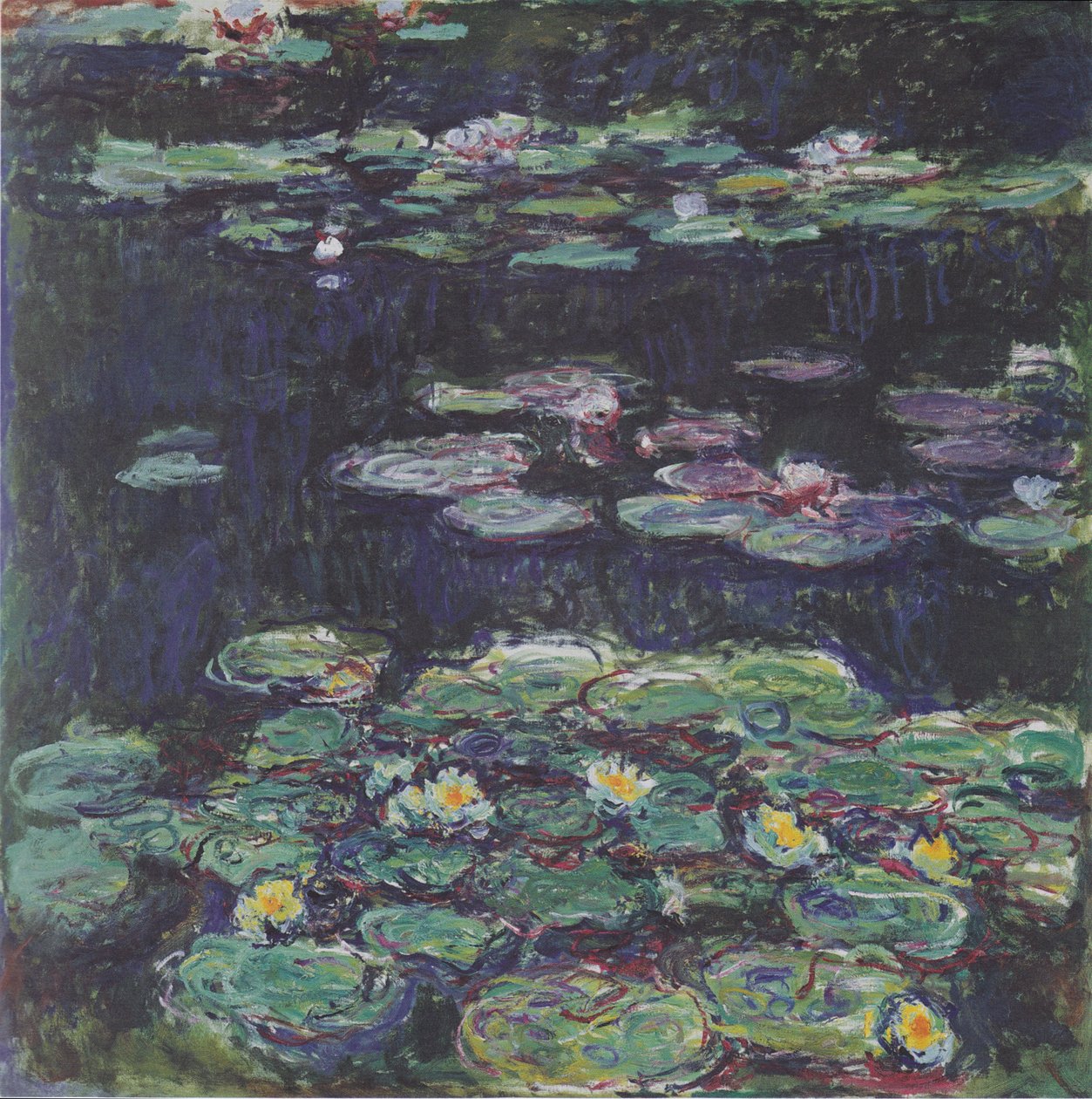 Hvite og gule vannliljer av Claude Monet