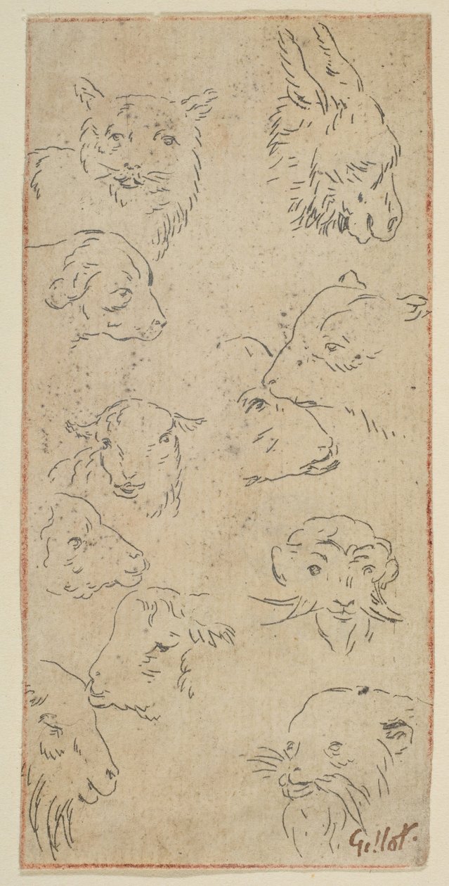 Studie av dyrehoder.n.d. av Claude Gillot