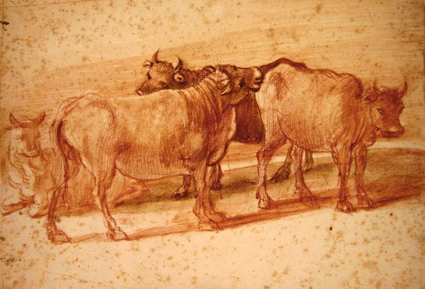 Kyr (rødt kritt på papir) av Claude Lorrain
