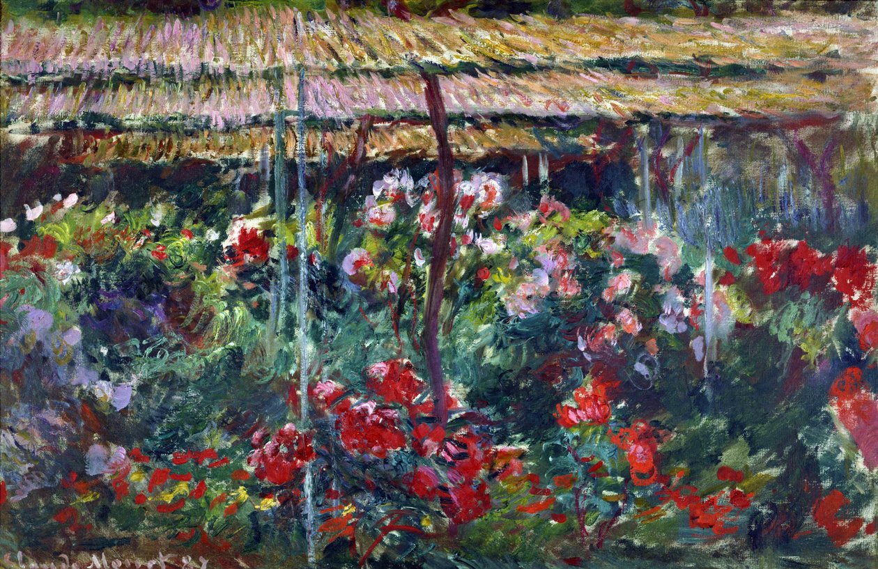 Hage av peoner. (Maleri, 1887) av Claude Monet