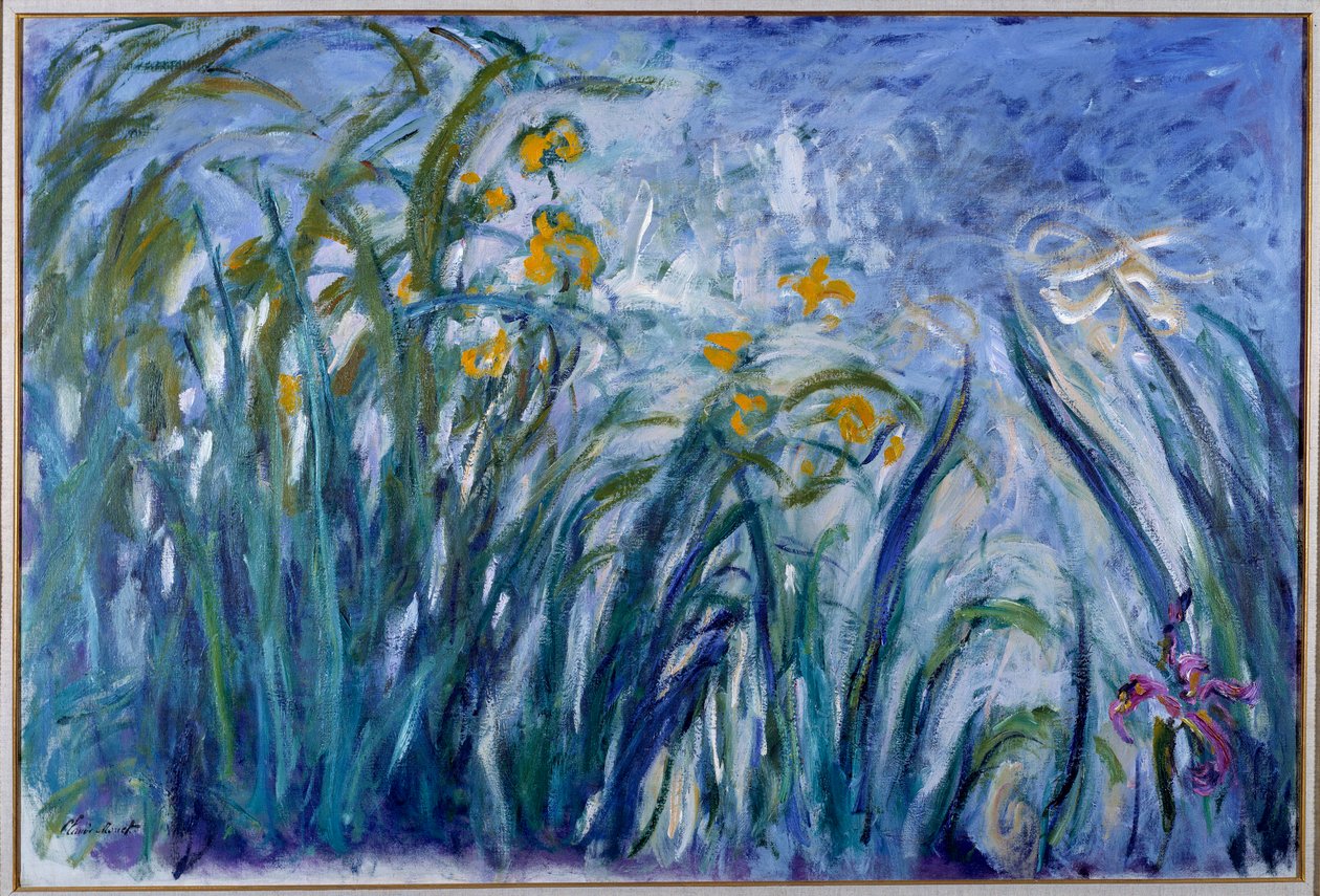Iris av Claude Monet