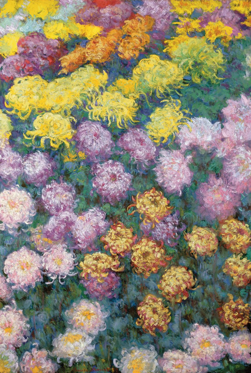 Massif de Chrysanthemes av Claude Monet