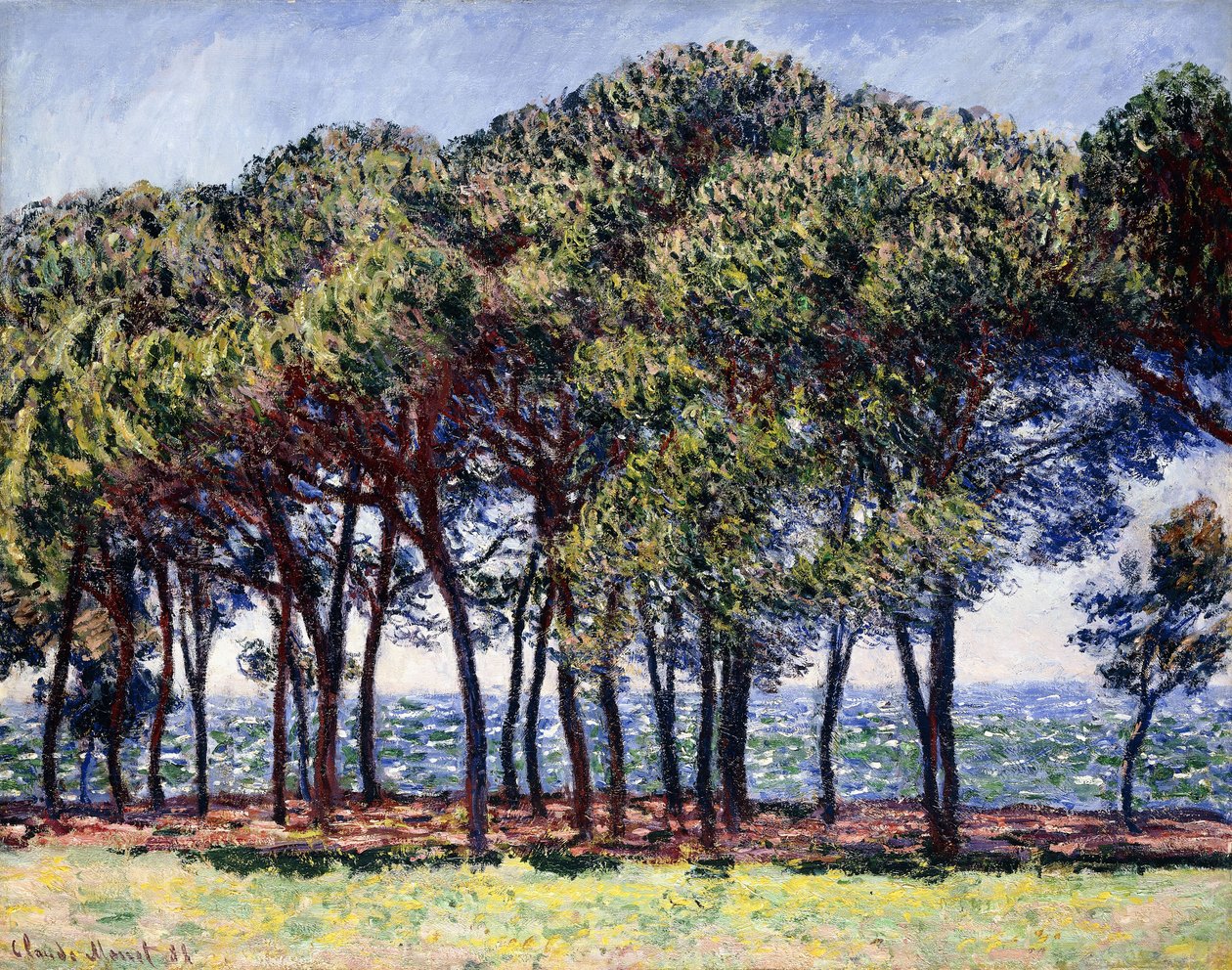 Pines, Cap d"Antibes, 1888 av Claude Monet