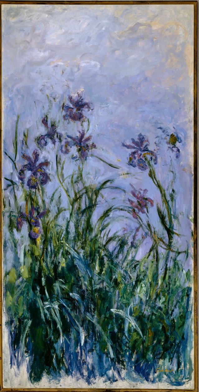 Lilla iris, 1914-17 av Claude Monet