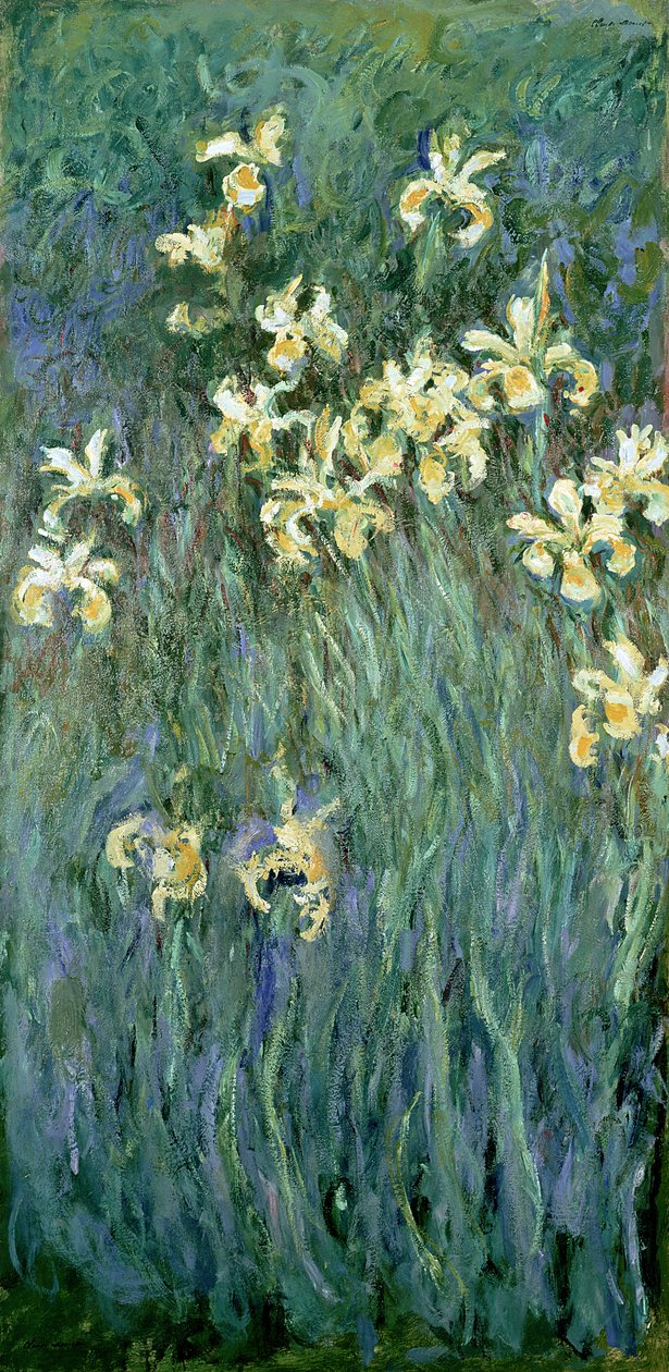 De gule irisene av Claude Monet