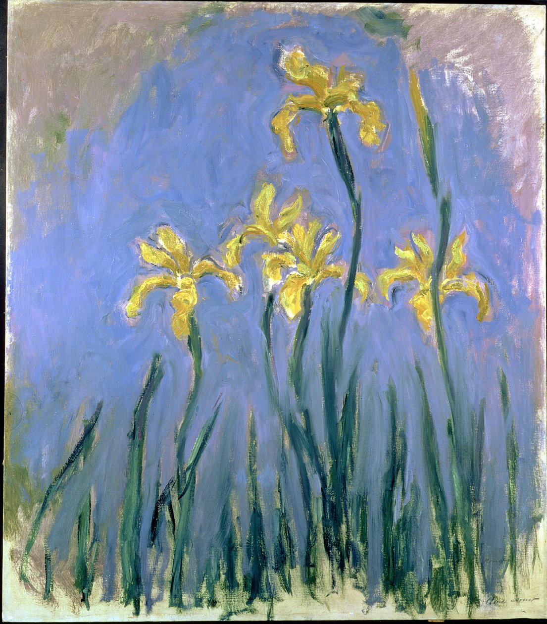 De gule irisene, ca. 1918-25 av Claude Monet