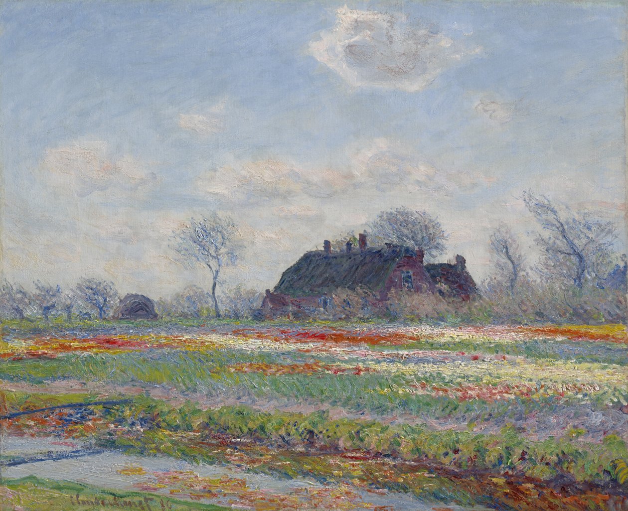 Tulipanmark på Sassenheim, 1886 av Claude Monet