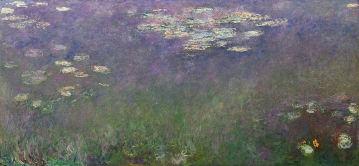 Vannliljer (Agapanthus) av Claude Monet