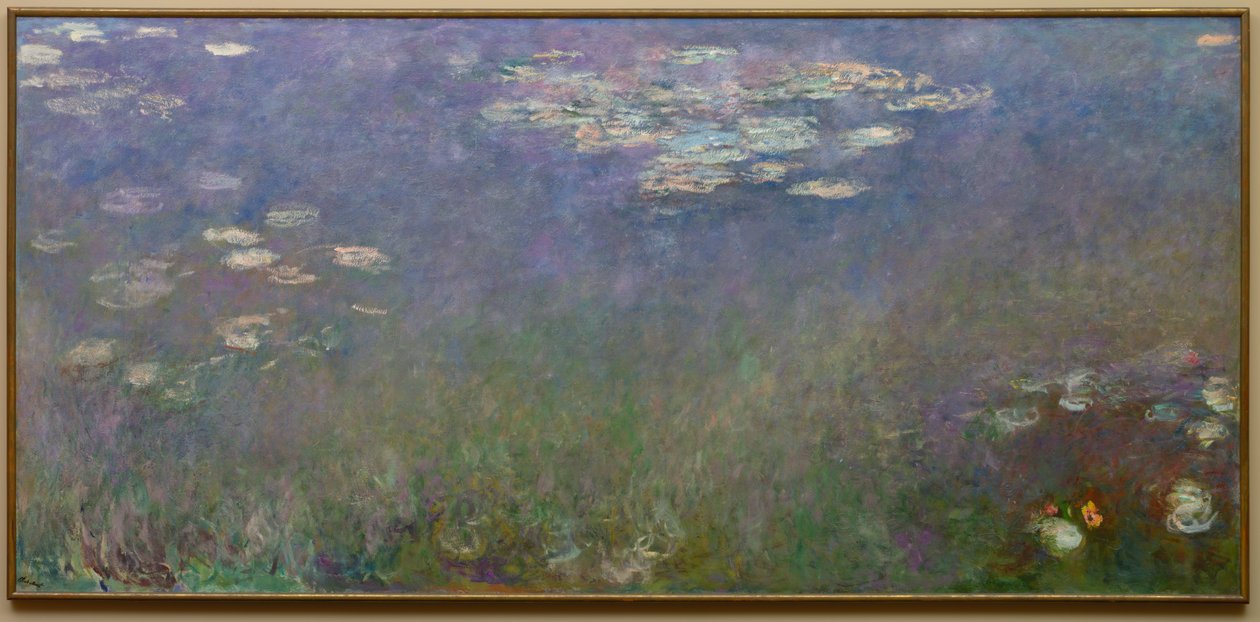 Vannliljer Agapanthus, ca. 1915-26. av Claude Monet