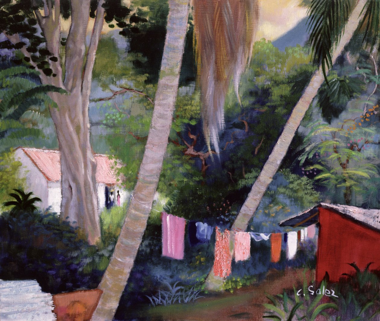Tørkevask, Guadeloupe av Claude Salez