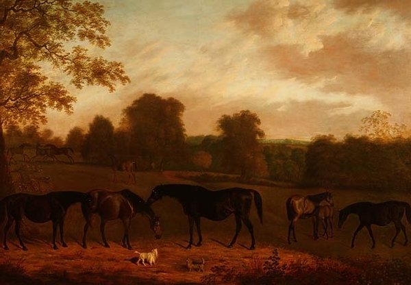 Hopper og føll av Clifton Tomson