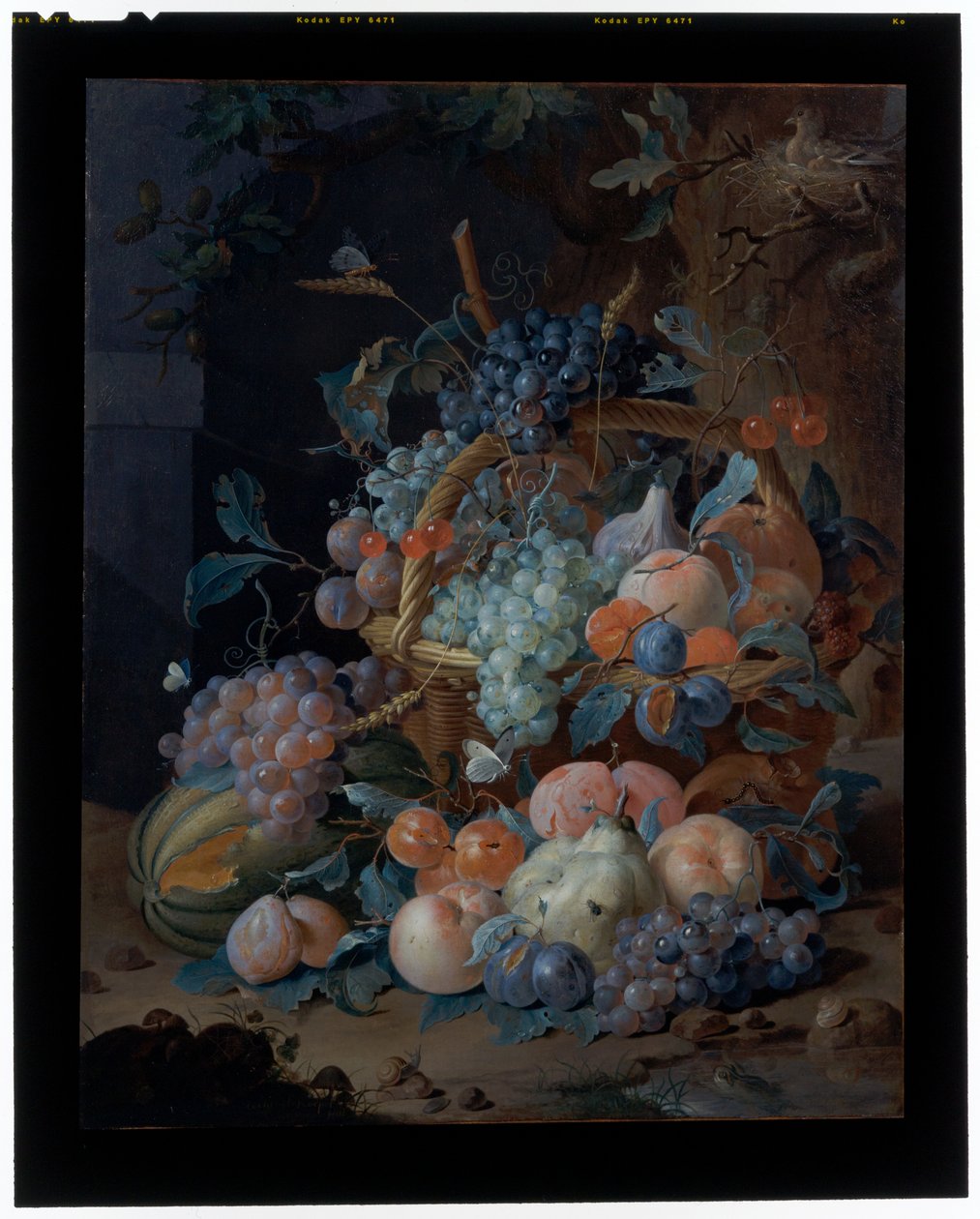 Blomsterstilleben (olje på lerret) av Coenraet Roepel