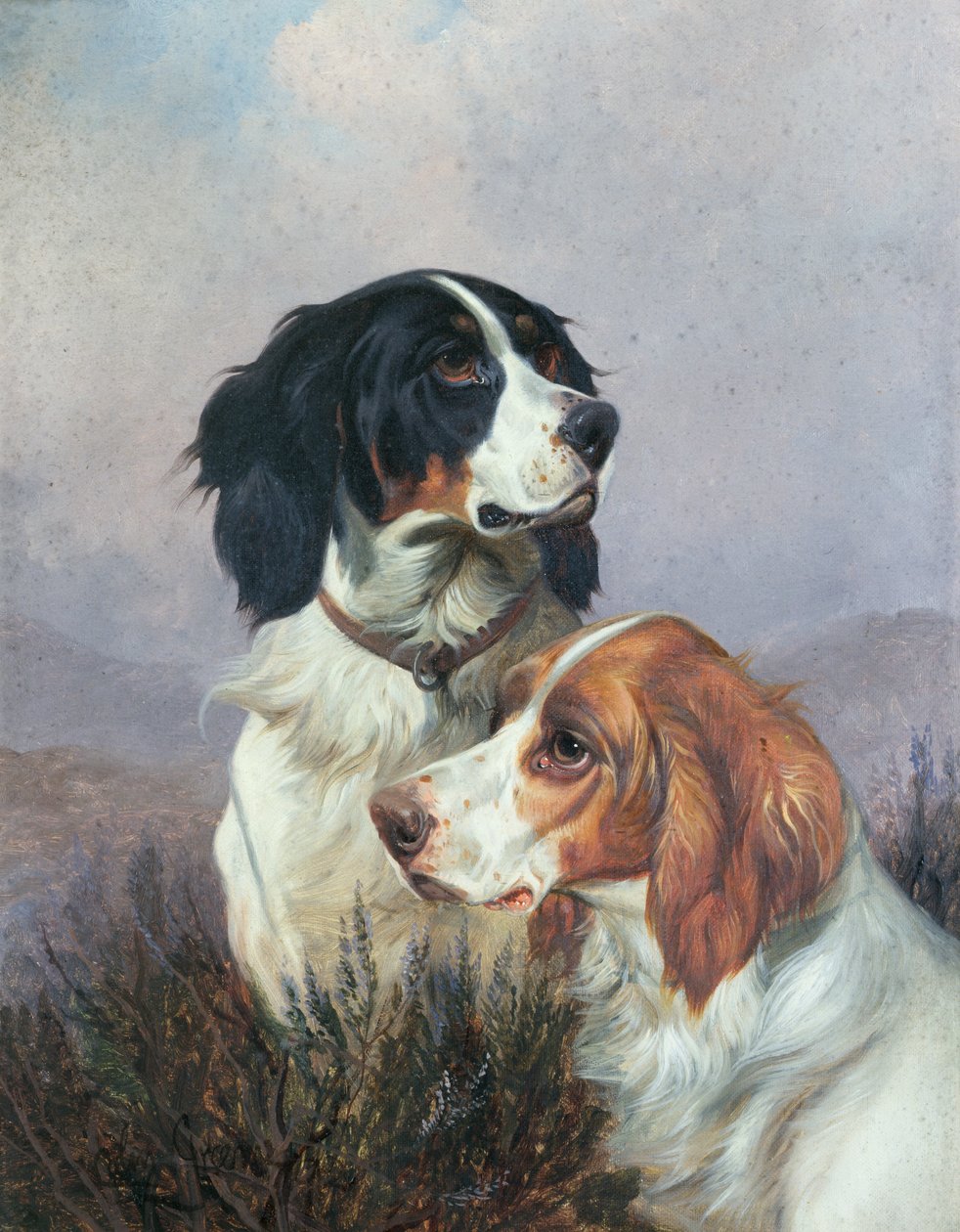 Setters on a Moor, 1892 av Colin Graeme