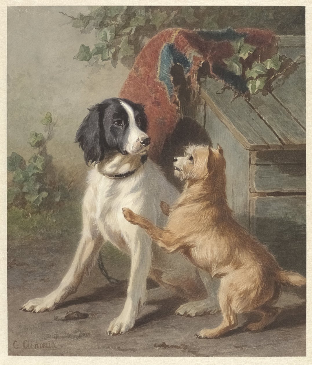 To hunder i en kennel av Conradijn Cunaeus