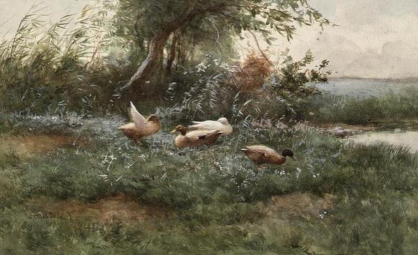 Ducks by a Pond (olje på lerret) av Constant Artz