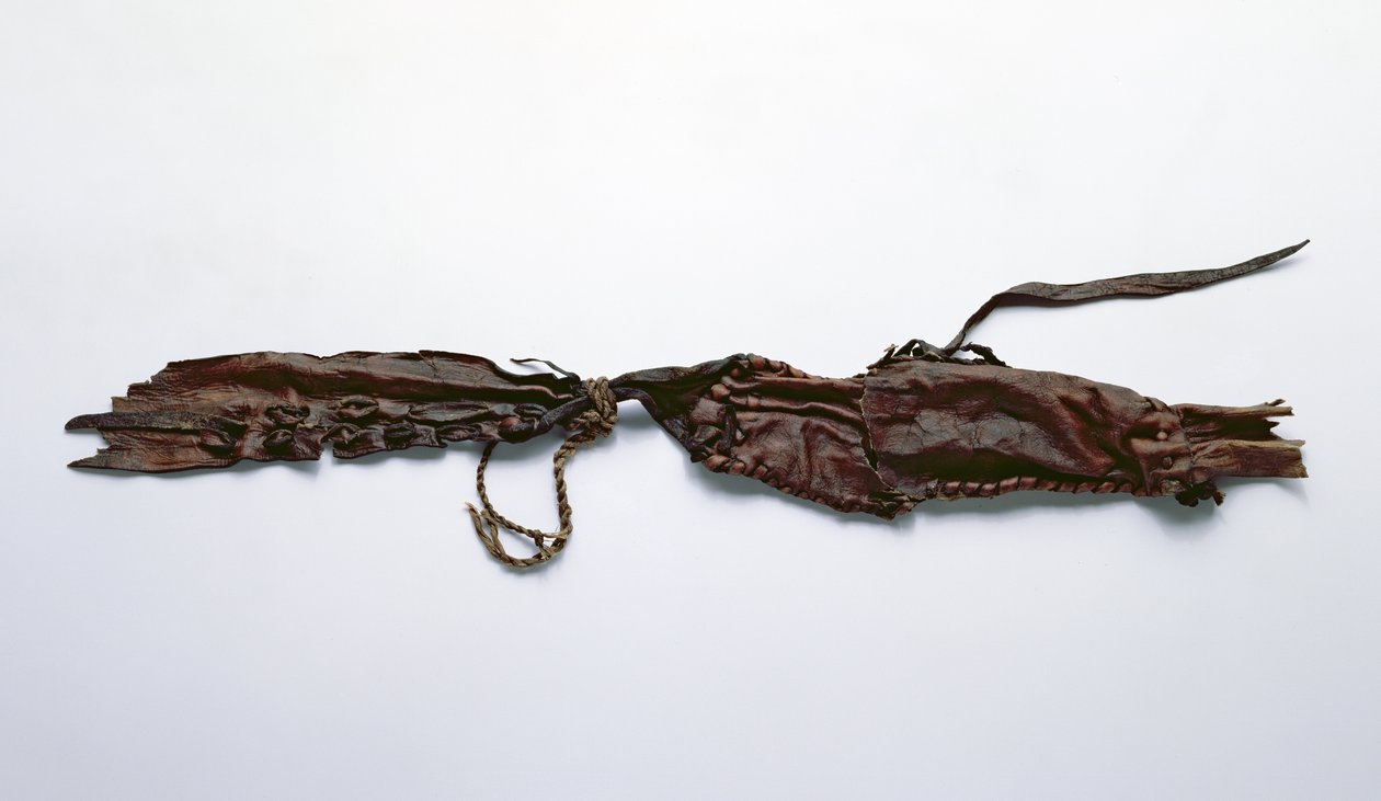 Fragment av hud funnet med Oetzi Iceman (skinn) av Copper Age