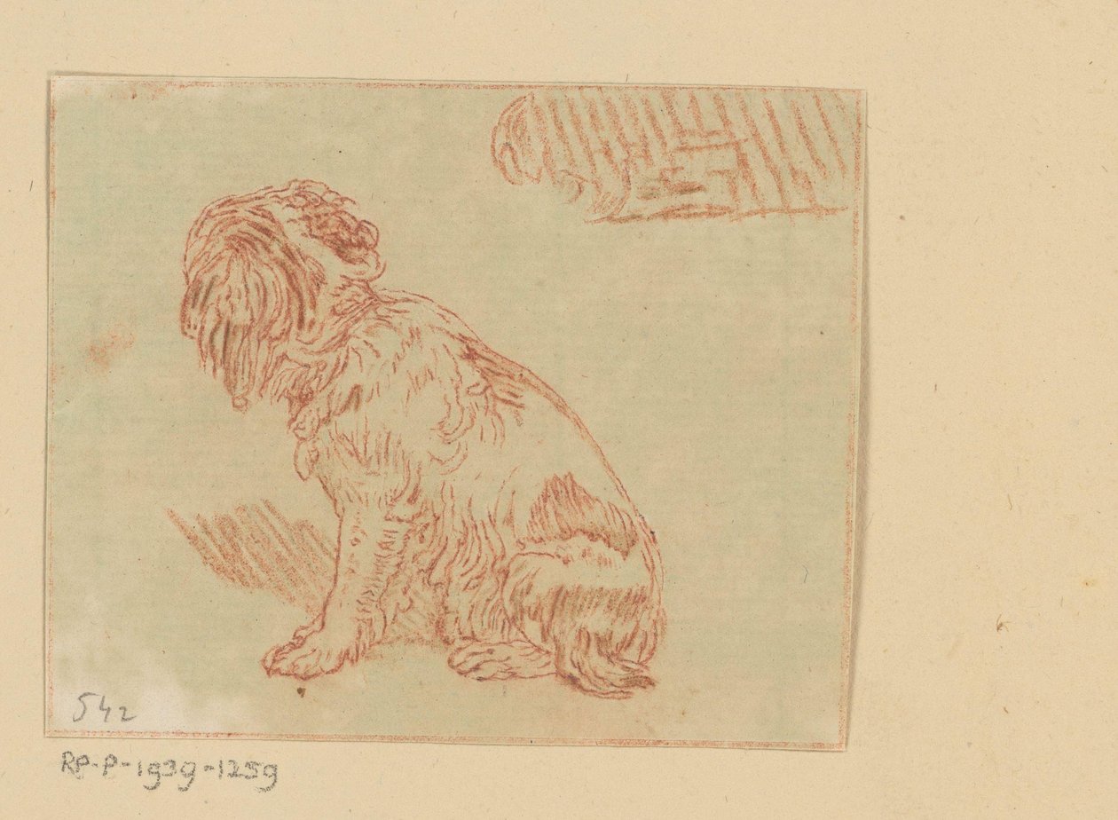 sittende hund av Cornelis Brouwer (possibly)