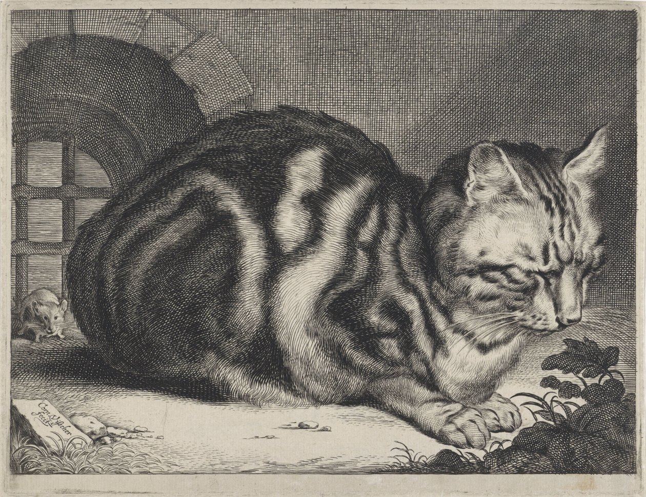Den store katten av Cornelis Visscher (II)