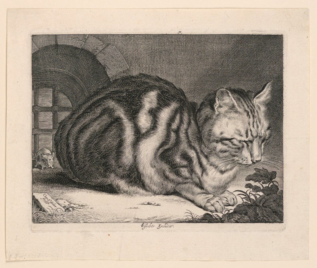 Den store katten av Cornelis Visscher