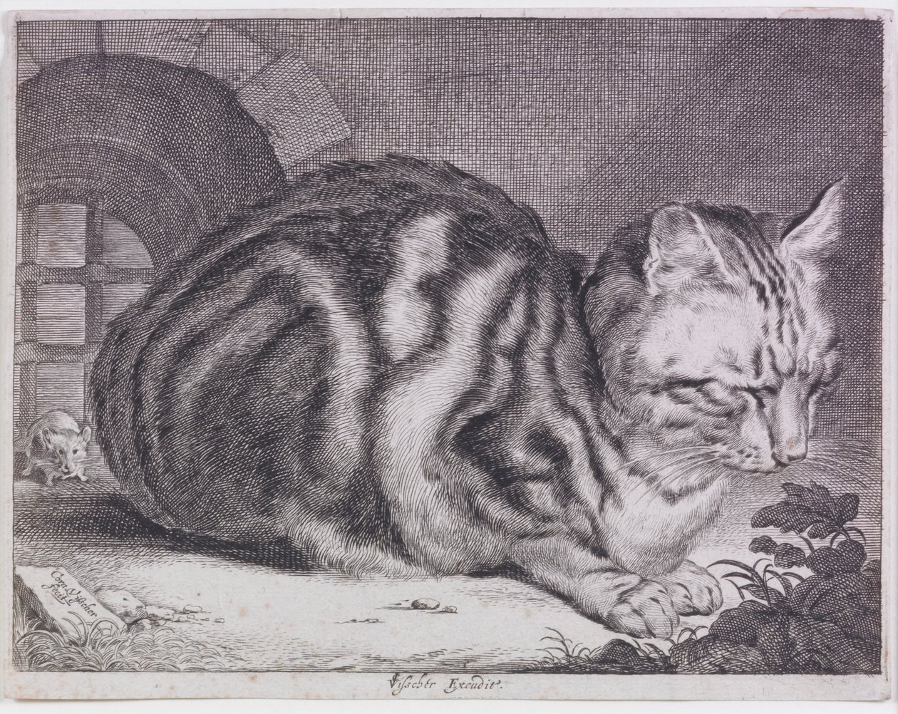 Den store katten av Cornelis de Visscher