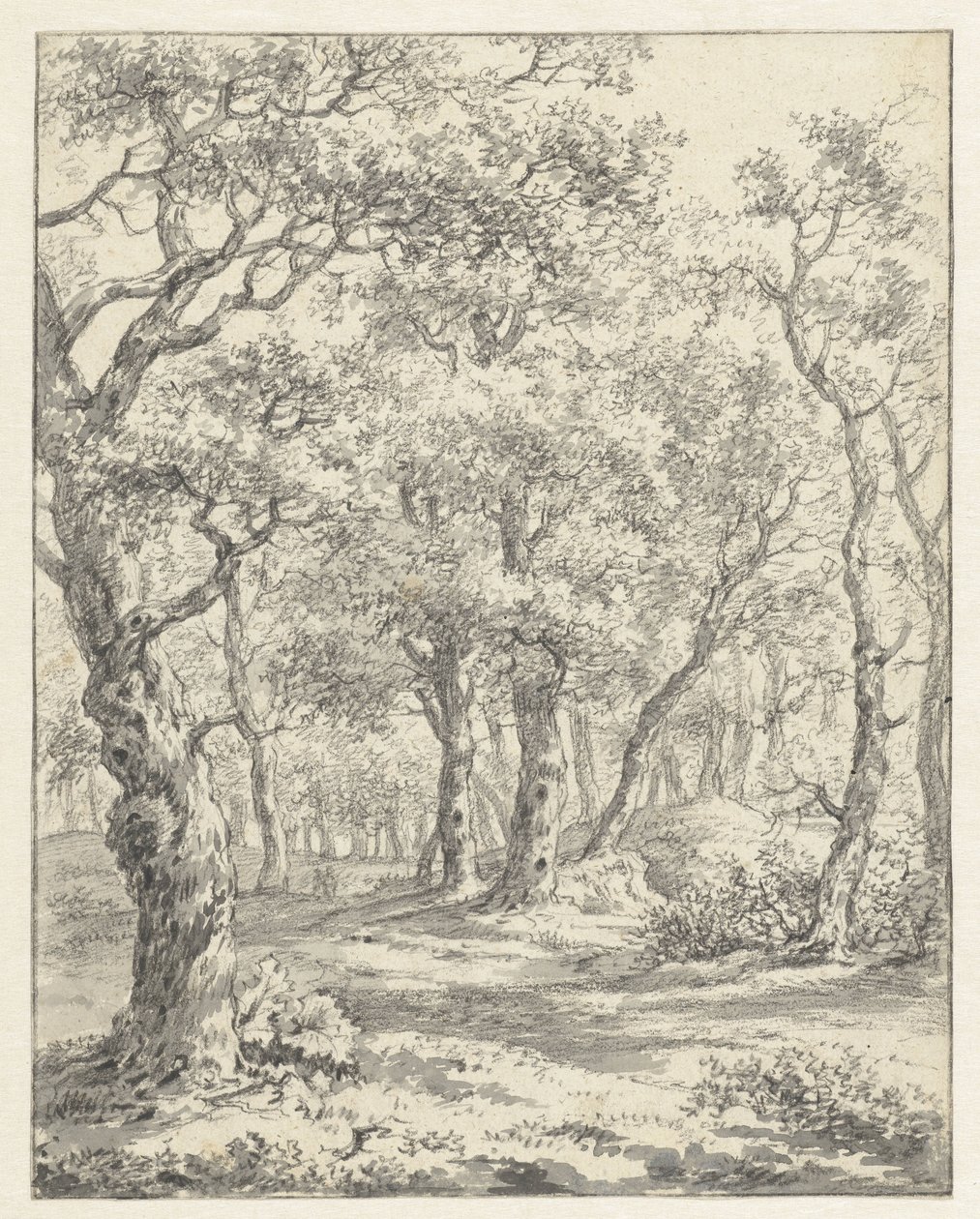 skoglandskap av Couwenhoven