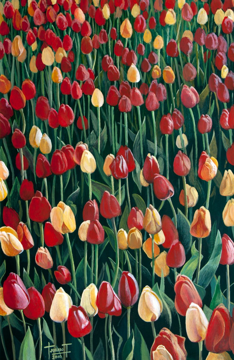 Tulipaner, 2010 (akryl på papir) av Cruz Jurado Traverso