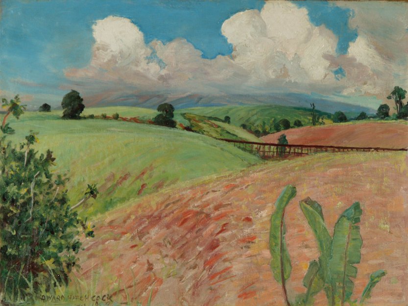 Canefields, Big Island av D. Howard Hitchcock