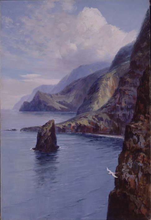 Molokai Bluffs, Hawaii av D. Howard Hitchcock